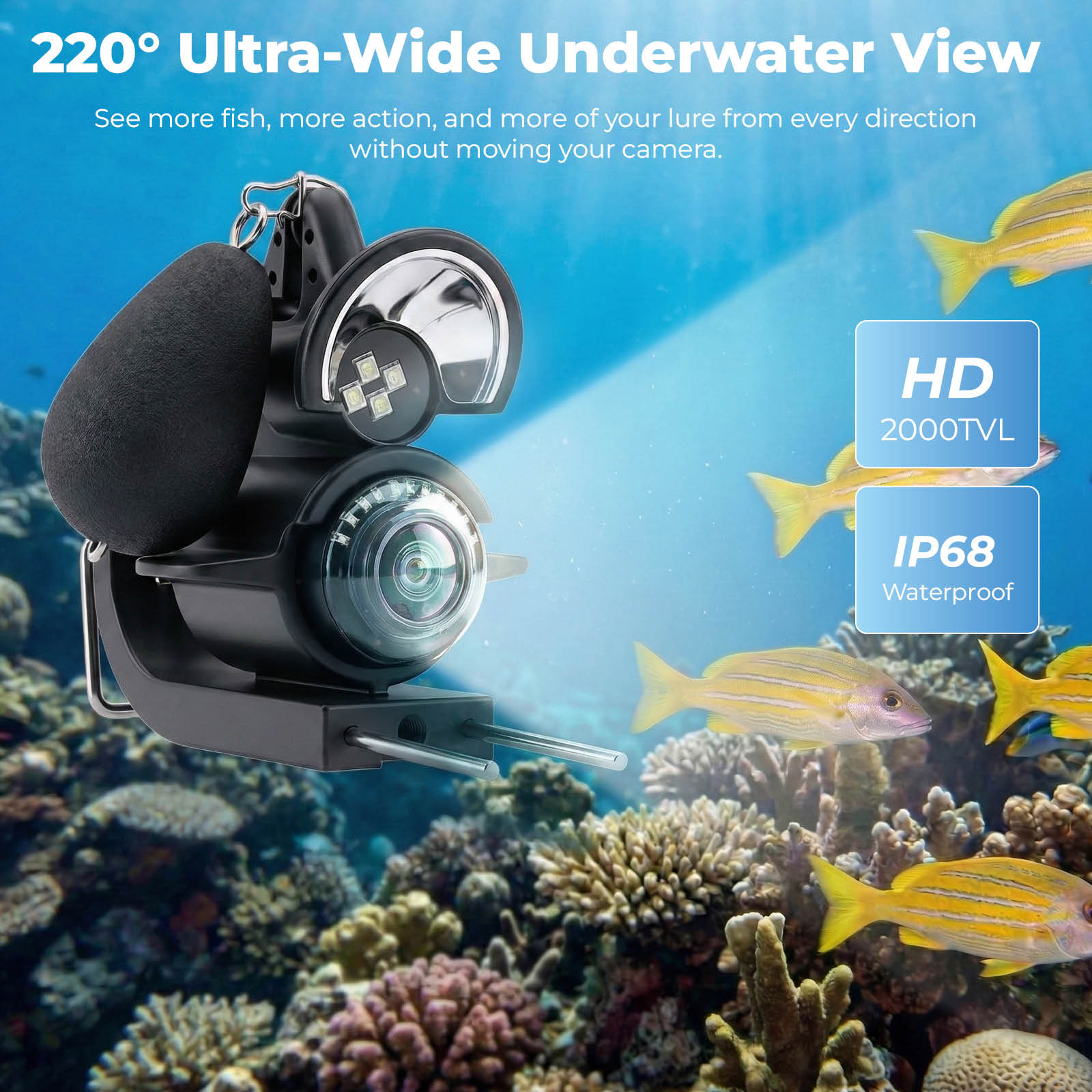 Buscador de Peces Subacuático  - Fish Finder Portable reseña y precio
