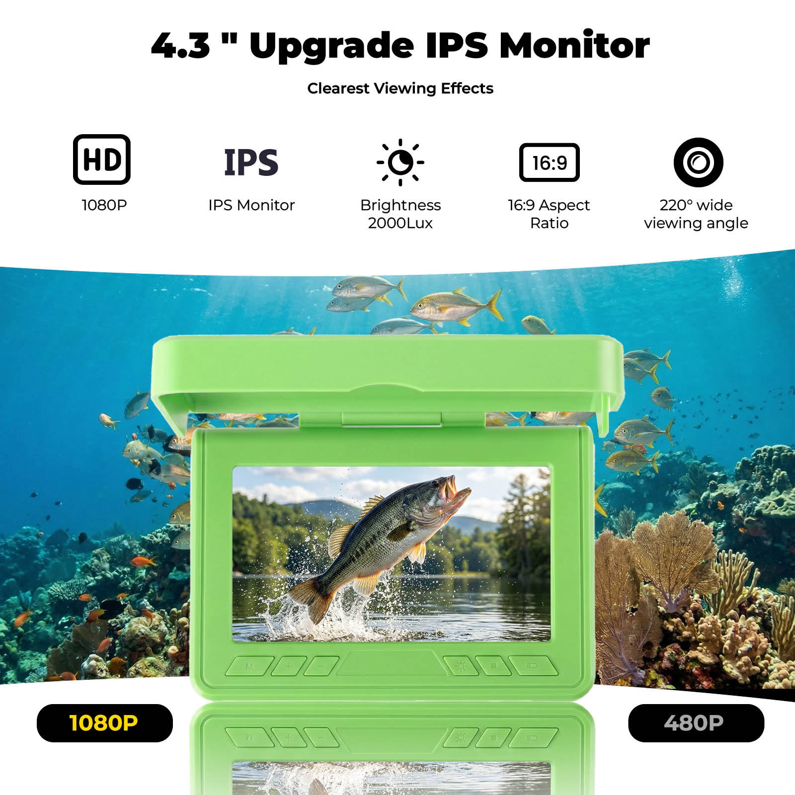 Buscador de Peces Subacuático  - Fish Finder Portable reseña y precio